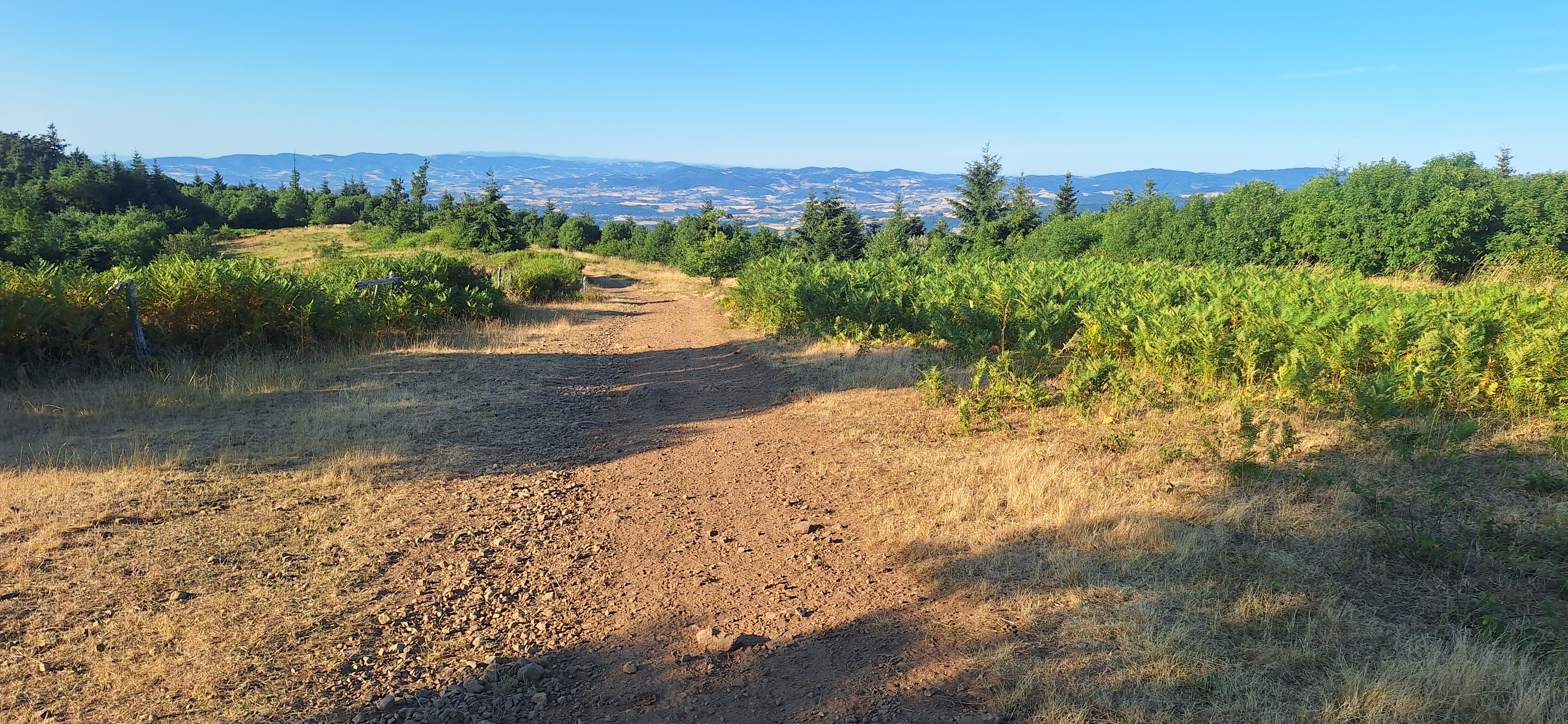 Piste en terrain ouvert